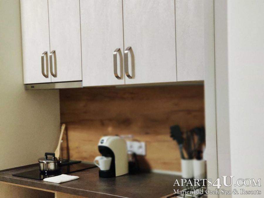 Apartment Grun Wald Mariánské Lázně Екстериор снимка