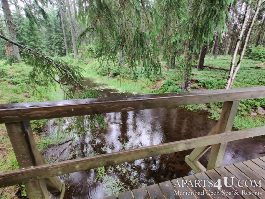 Apartment Grun Wald Mariánské Lázně Екстериор снимка