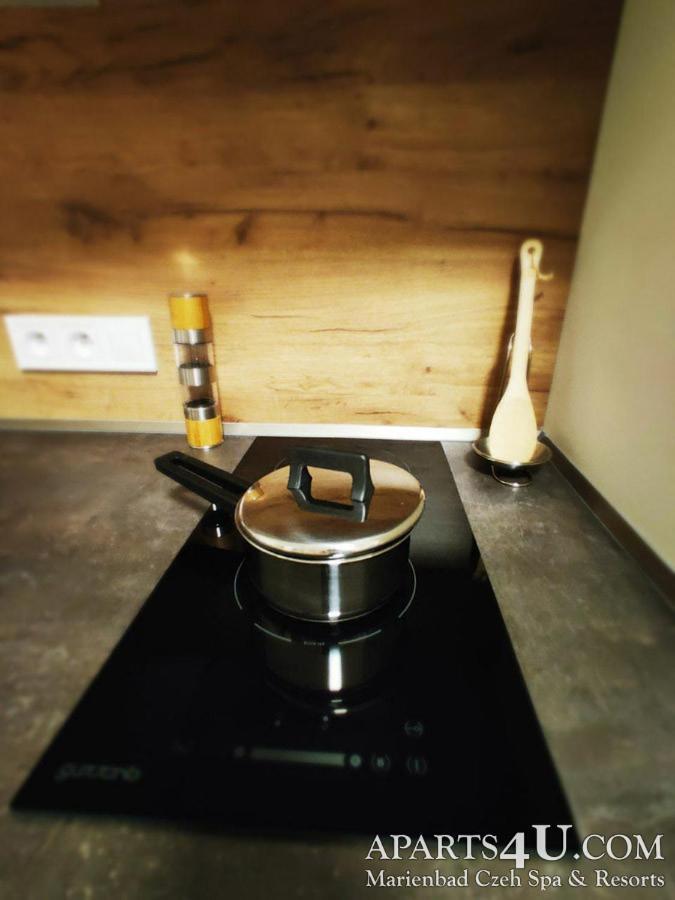 Apartment Grun Wald Mariánské Lázně Екстериор снимка