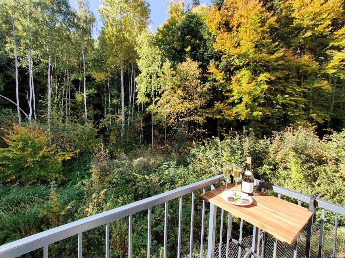 Apartment Grun Wald Mariánské Lázně Екстериор снимка