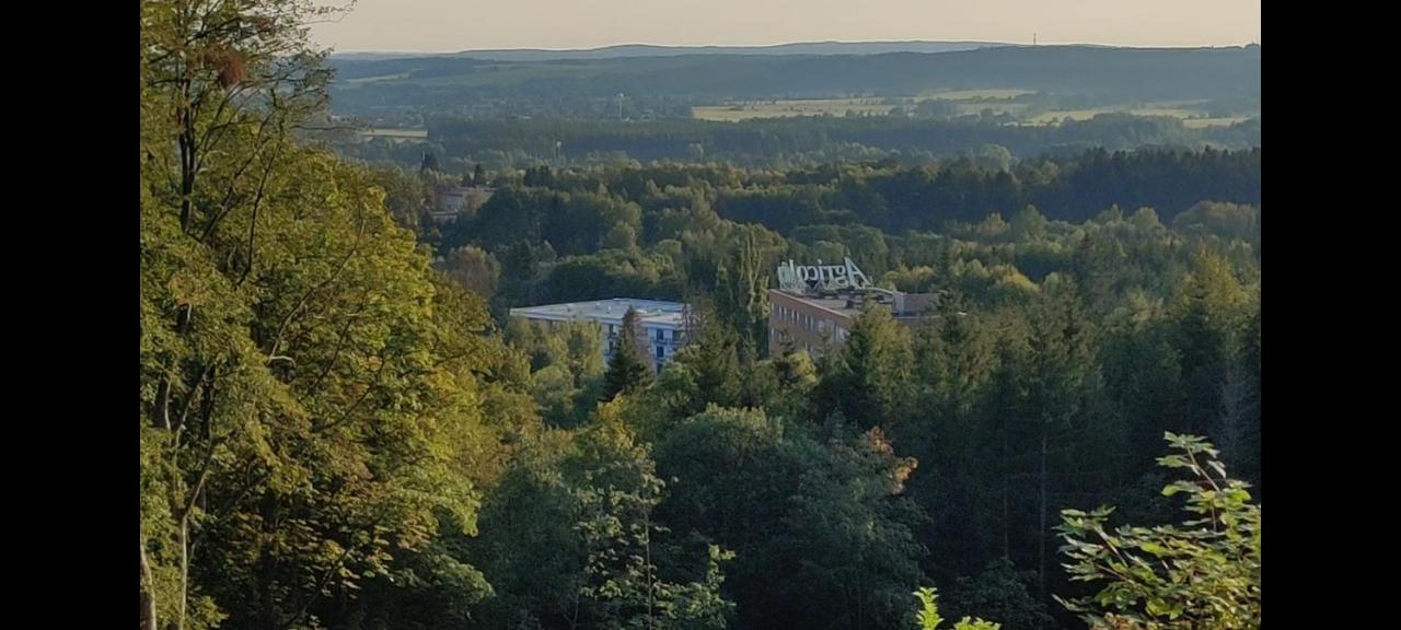 Apartment Grun Wald Mariánské Lázně Екстериор снимка