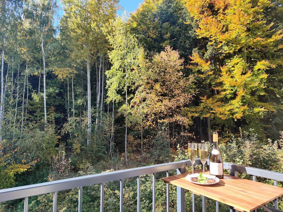 Apartment Grun Wald Mariánské Lázně Екстериор снимка